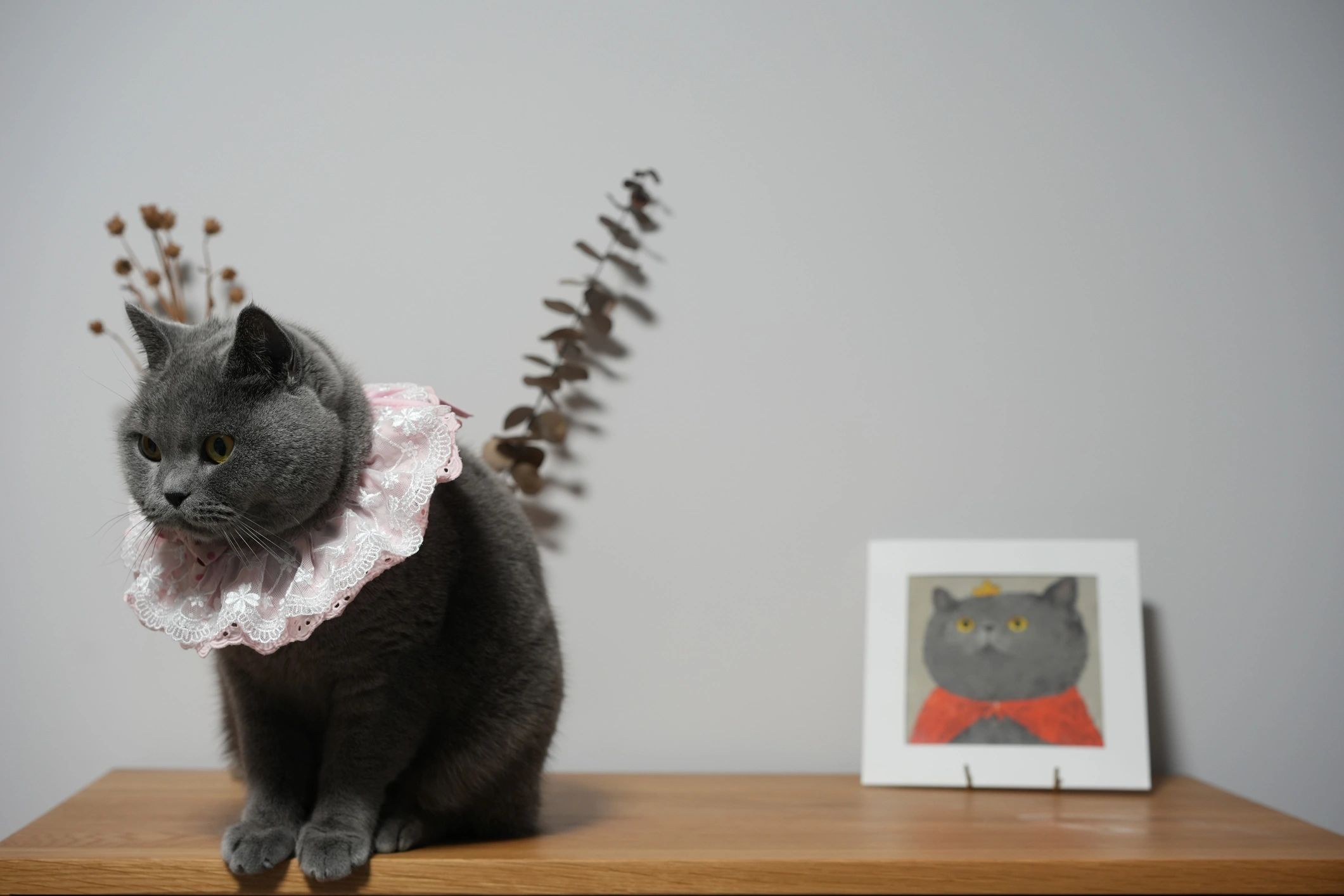 pet embroidery portrait